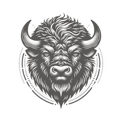 bison vector illustration