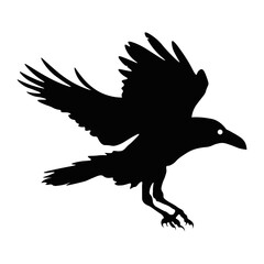 Black Silhouette of Crow. Halloween Raven Silhouette. Isolated on White Background