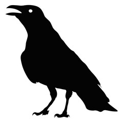 Black Silhouette of Crow. Halloween Raven Silhouette. Isolated on White Background