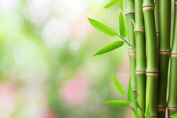 Green bamboo stems on blurred background with space for text. Fresh and natural, this image features Asian-inspired botanical decor. Ideal for spa, wellness, and relaxation themes.