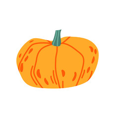 Cozy pumpkin, halloween decor, fall harvest gourd. Pumpkin, squash and leaves vector symbol illustration. Autumn thanksgiving and pumpkin icon on white background