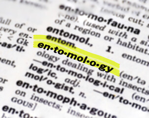 Highlighted dictionary definition of the word entomology