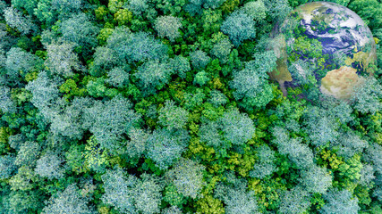 Aerial top view of green forest tree and global globe, Tropical rain forest tree ecosystem and healthy environment, Texture and background of green tree forest, Global warming save earth.