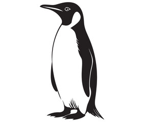 Cute penguin silhouette vector