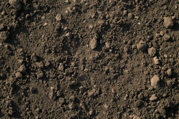 Close-up of fertile soil with textured ground surface. Dark brown earthy terrain with compost and humus. Top view of cultivated field, garden with rural landscape in background.