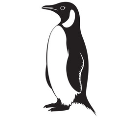 Fototapeta premium Cute penguin silhouette vector