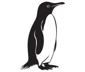 Cute penguin silhouette vector