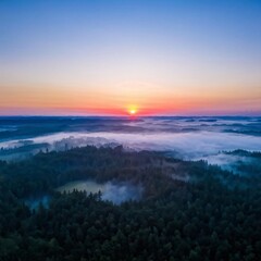 Fototapeta premium The first light of dawn illuminating the forest