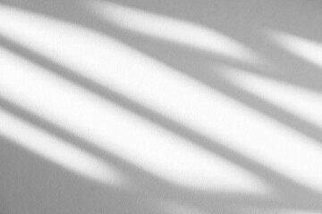 Wall interior background, studio and backdrops show products.with shadow from window color white and grey. background for text insertion and presentation product	