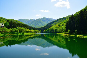 新緑の加茂水源地（新潟県）
