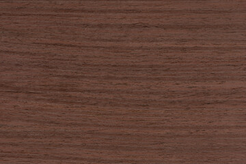 Close-Up of Rich Wenge Wood Texture, Dark Brown Plank Ideal for Furniture and Flooring