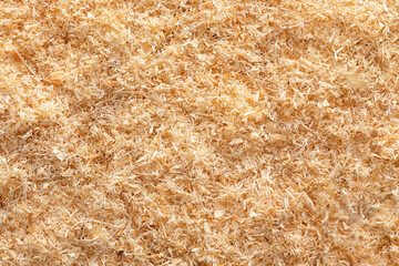 Macro Shot of Wood Flour Texture