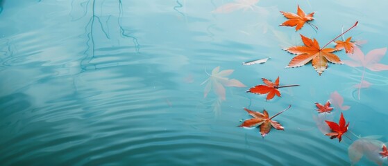 A blue body of water with leaves floating on top