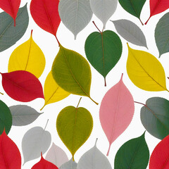 autumn colorful leaves