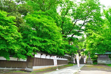 加茂山公園　青海神社（新潟県）