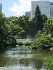 日比谷公園の風景