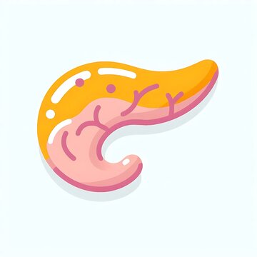 Human Pancreases , flat illustration of human body organ, graphics for medical education, treatment, hospital poster, banner