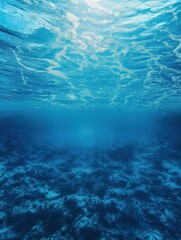 Blue underwater scene. Tropical sea water with coral and clear liquid. Wet surface. Aquatic paradise. Deep ocean dive. Vertical shot of sea background.