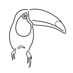 A black and white outline drawing of toucan bird illustration