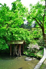 加茂山公園（新潟県）