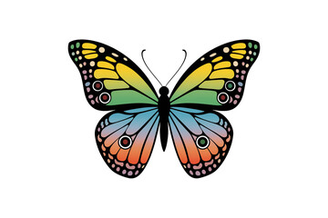 Fototapeta premium Colorful butterfly with detailed wings on a transparent background