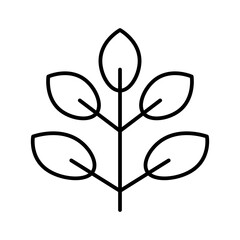 spinach line icon