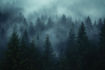 Misty forest with coniferous trees on a gloomy day. Foggy atmosphere with plants, leafy branches, and empty path. Curvy road through the woods with white mist, pine trees, and natural environment.