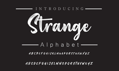 Expressive Brush Font for Creative Projects, Branding, and Invitations | Unique Style to Enhance Your Design Experience