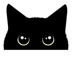 目がクリクリの黒猫の顔