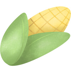 Watercolor fresh corn cob with green leaf 