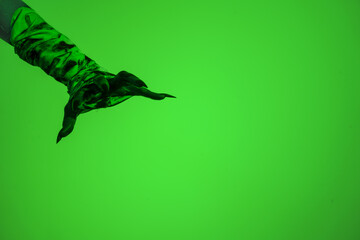 A bloodied witch hand wrapped in bandages, set against a green fire background. This demonic hand blends elements of vampires,aliens, and ghosts, evoking a spooky, monstrous feel perfect Halloween