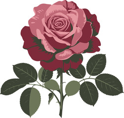 Fototapeta premium ELEGANT SINGLE ROSE VECTOR ART ILLUSTRATION