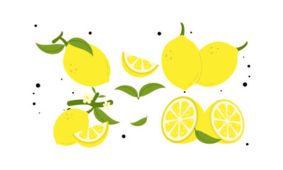 Cartoon lemons. Exotic sour juicy fruit. Yellow citrus. Citric whole and slices