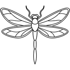 Intricate Dragonfly Wings Line Art Vector
