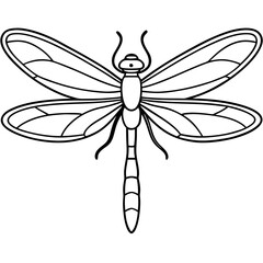 Intricate Dragonfly Wings Line Art Vector