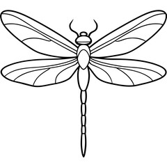 Intricate Dragonfly Wings Line Art Vector