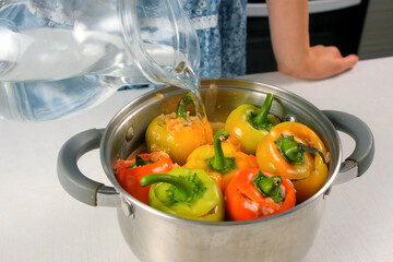 Woman pouring water on stuffed bell peppers in saucepan cooking on kitchen. Vegetables sauce for stuffed peppers. Culinary techniques, homemade preparing healthy meal, cook food, domestic cuisine.