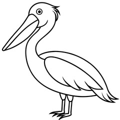 Minimalist Pelican Line Art Vector with Long Beak and Large Wings