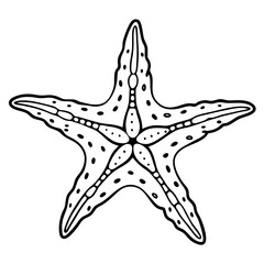 Intricate Starfish Line Art on Ocean Floor Vector Design