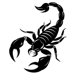 Scorpion Silhouette Tail Curled, Ready to Strike Vector Art