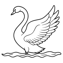 Swan Stretching Wings Above Water Detailed Line Art Vector