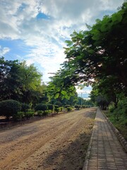 Sunlit Pathway Through a Tranquil Park with Vibrant Greenery