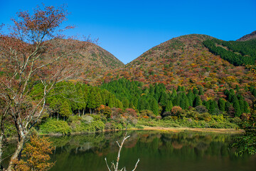 Obraz premium 箱根のお玉が池の紅葉