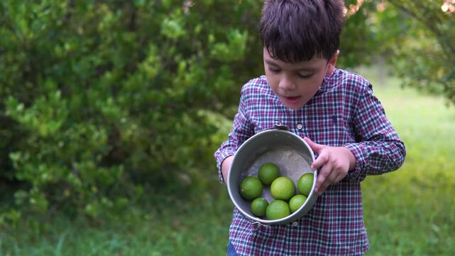 Ni&ntilde;o y su abuelo camino al cultivo de limones donde recolectan limones para hacer una limonada en familia.