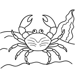 Crab Line Art Crawling on Sandy Beach Detailed Claws Vector