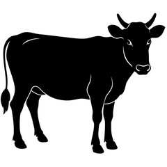 The Beauty of Black and White Cows,Discovering the Charm of Black and White Cows'Black and White Cows,Exploring the World of Black and White Cows,Why Black and White Cows are the Stars of the Farm