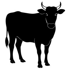 The Beauty of Black and White Cows,Discovering the Charm of Black and White Cows'Black and White Cows,Exploring the World of Black and White Cows,Why Black and White Cows are the Stars of the Farm