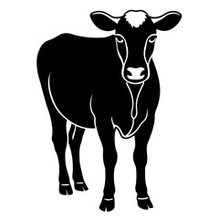 The Beauty of Black and White Cows,Discovering the Charm of Black and White Cows'Black and White Cows,Exploring the World of Black and White Cows,Why Black and White Cows are the Stars of the Farm