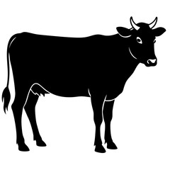 The Beauty of Black and White Cows,Discovering the Charm of Black and White Cows'Black and White Cows,Exploring the World of Black and White Cows,Why Black and White Cows are the Stars of the Farm