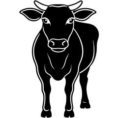 The Beauty of Black and White Cows,Discovering the Charm of Black and White Cows'Black and White Cows,Exploring the World of Black and White Cows,Why Black and White Cows are the Stars of the Farm